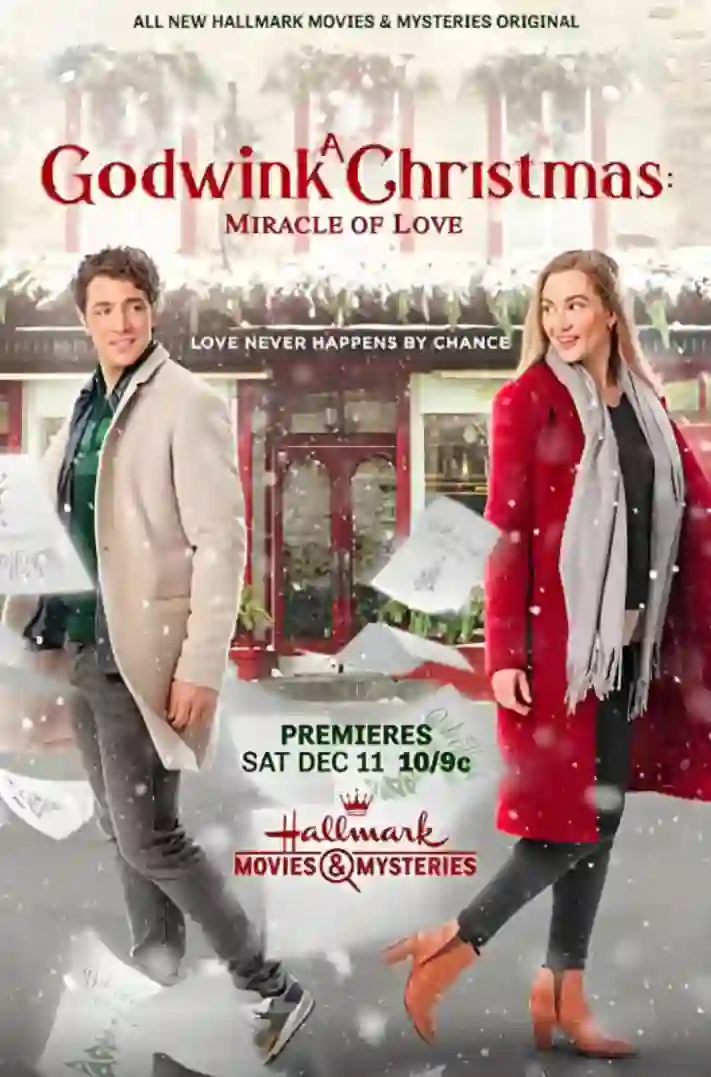 戈德温克的圣诞节：爱的奇迹